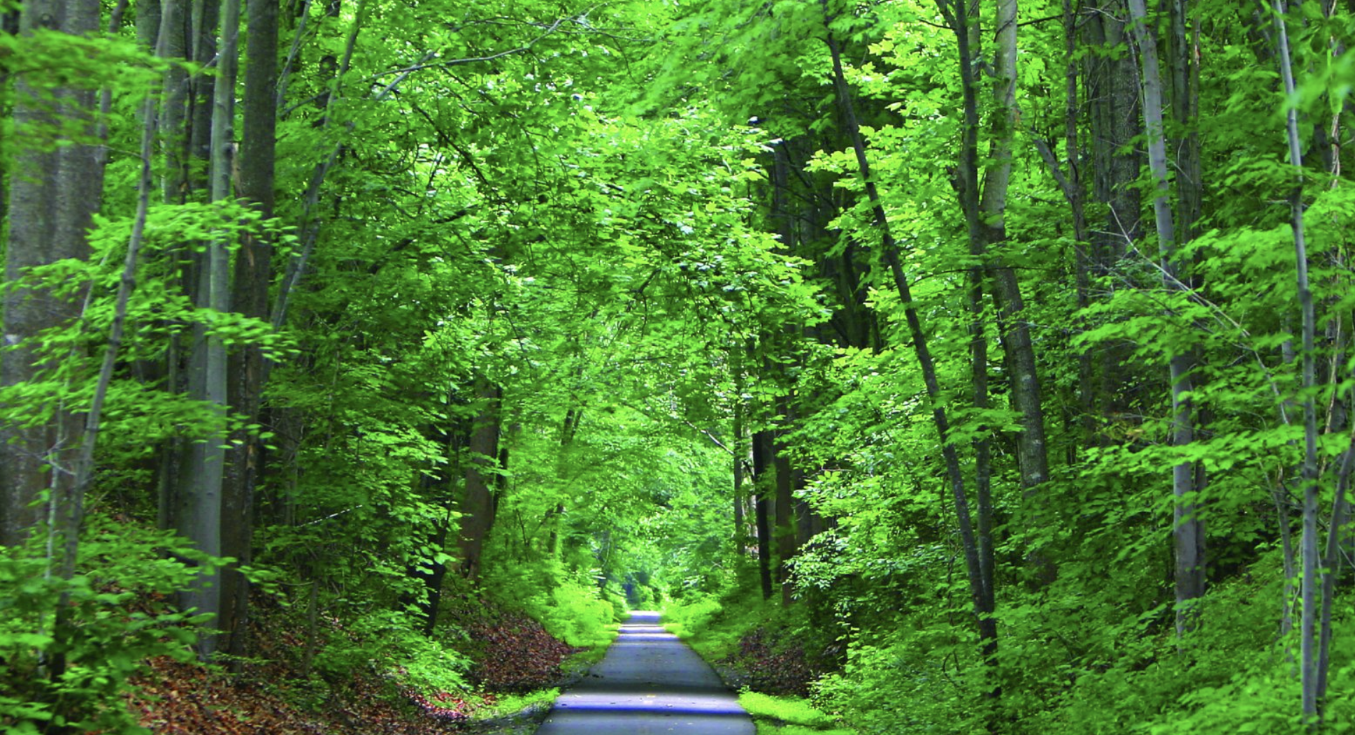 Washington and Old-Dominion railroad regional park - a rails-to-trail destination for families in Northern Virginia