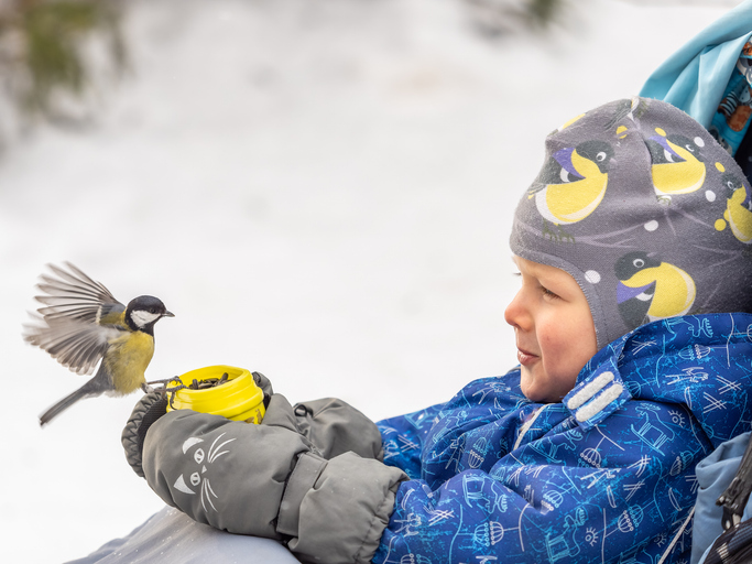 bird eats from little boy holding bowl of birdseed in winter