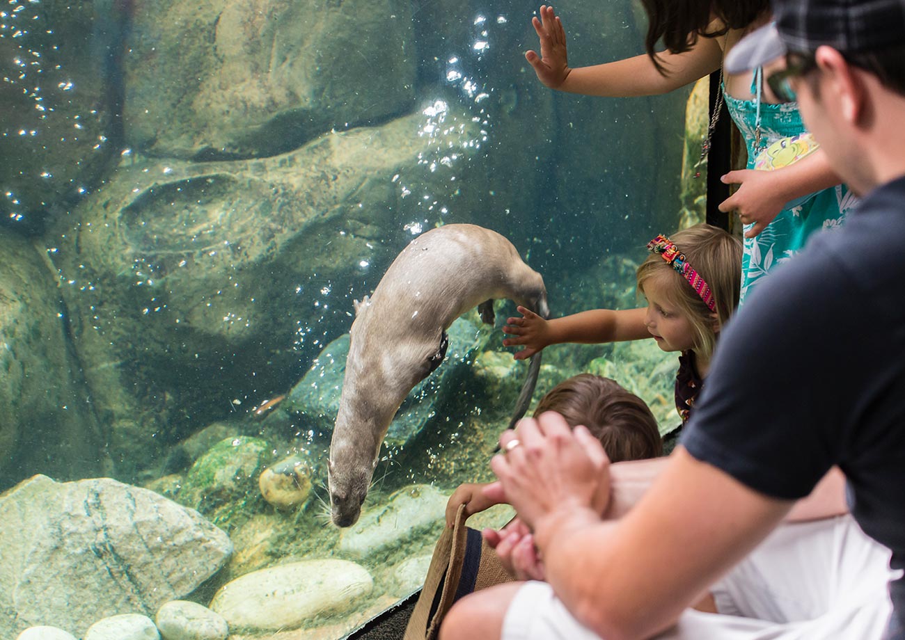 Central Virginia Nature Centers Families Love