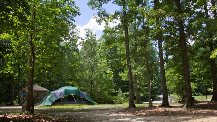 tent surrounded by trees in pocahantas state park