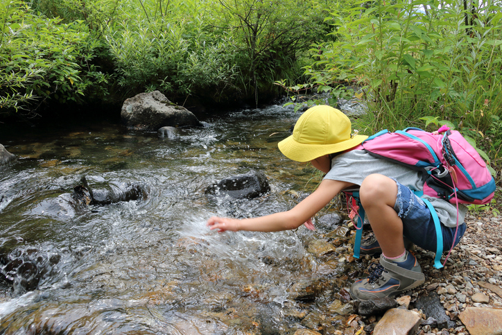 Virginia Creek Adventures with Kids: Where to Splash, Explore & Learn This Summer