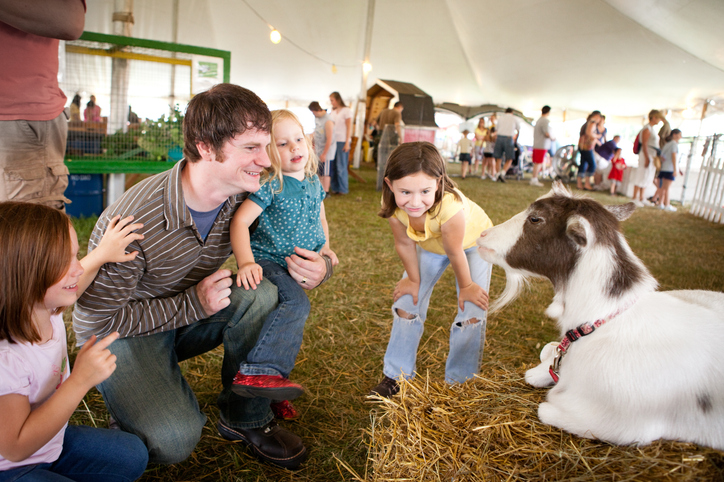 Virginia Summer County Fairs: A Family Guide to 2026