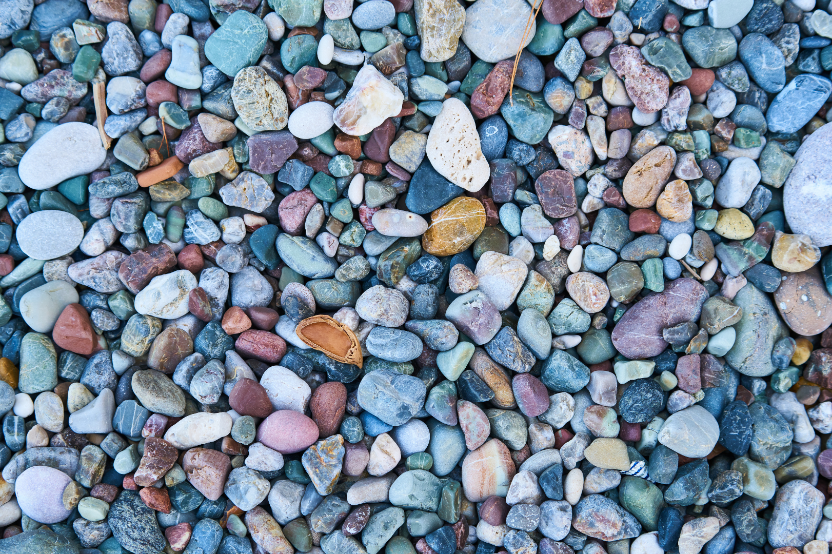 Rock Collecting For Kids
